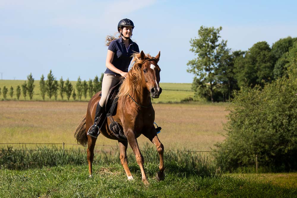 Gabi Neurohr riding chestnut Barb Arabian gelding bitless