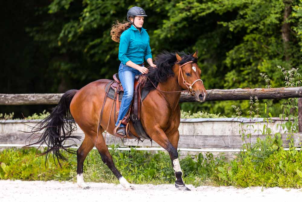 Gab Neurohr Horse Education - Quarter Horse mare ridden in canter