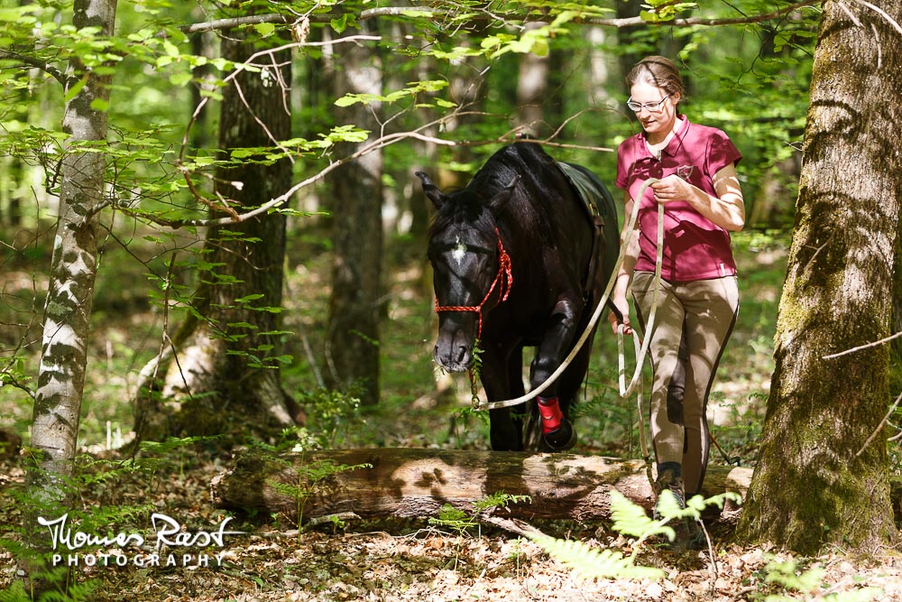 Gabi Neurohr Pre Saddle Training - Confidence in the Forest