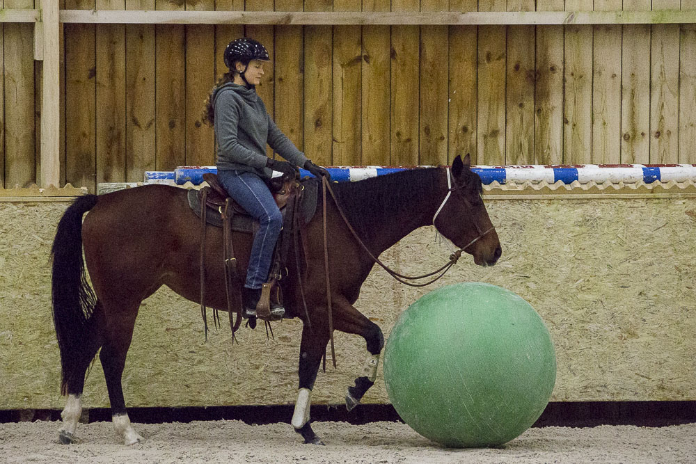 Gabi Neurohr Colt Starting - Quarter Horse mare with green ball