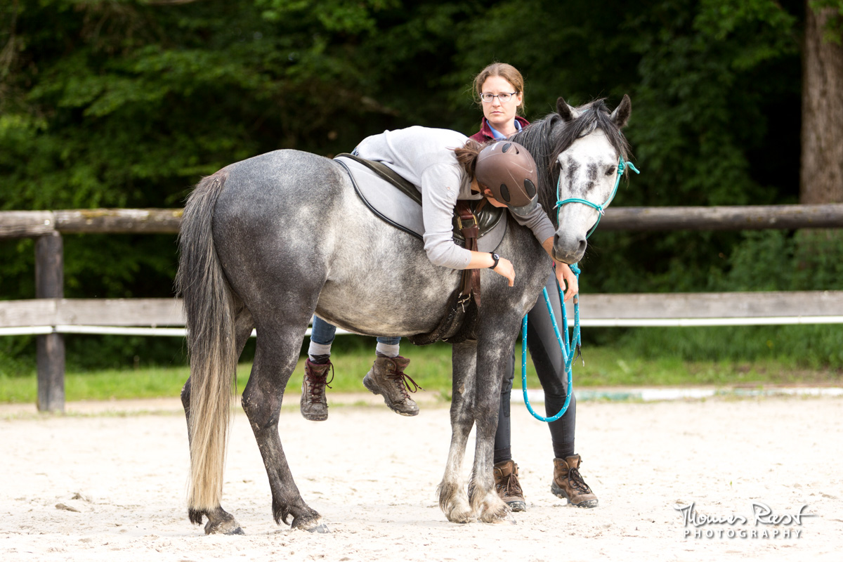 Gabi Neurohr Problem Horses - Aslan learns to accepts the rider