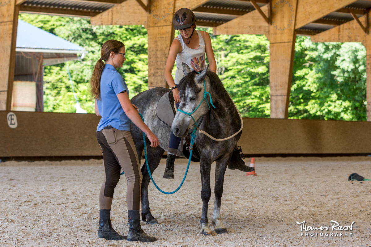 Gabi Neurohr Problem Horses - Aslan accept the rider