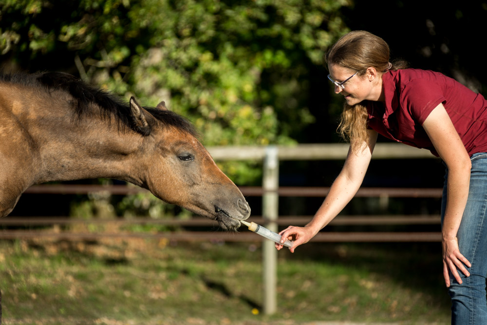 Gabi Neurohr Young Horse Training - deworming a foal