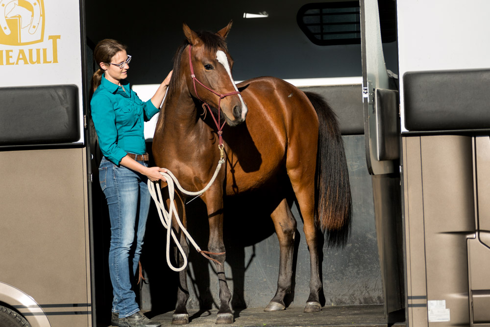 Gabi Neurohr Young Horse Education - Shagya filli Tara in the horse truck