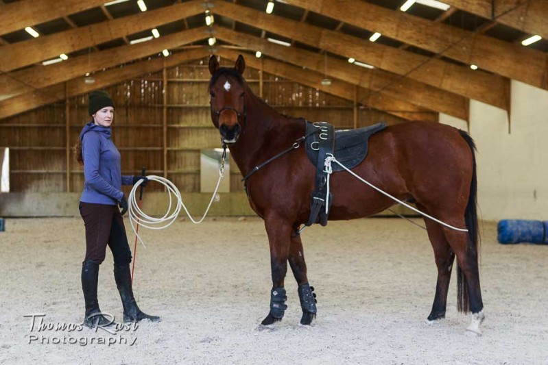 Gabi Neurohr horse training - Zayins outfit to increase body awareness