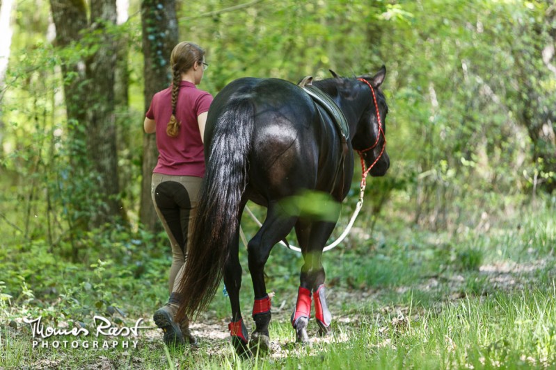 Gabi Neurohr colt starting walk in the forest with my young horse