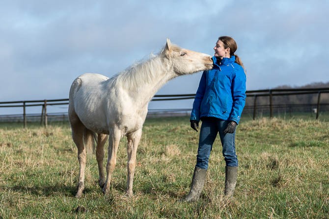 Gabi Neurohr Young Horse Education - a foal is smelling Gabi