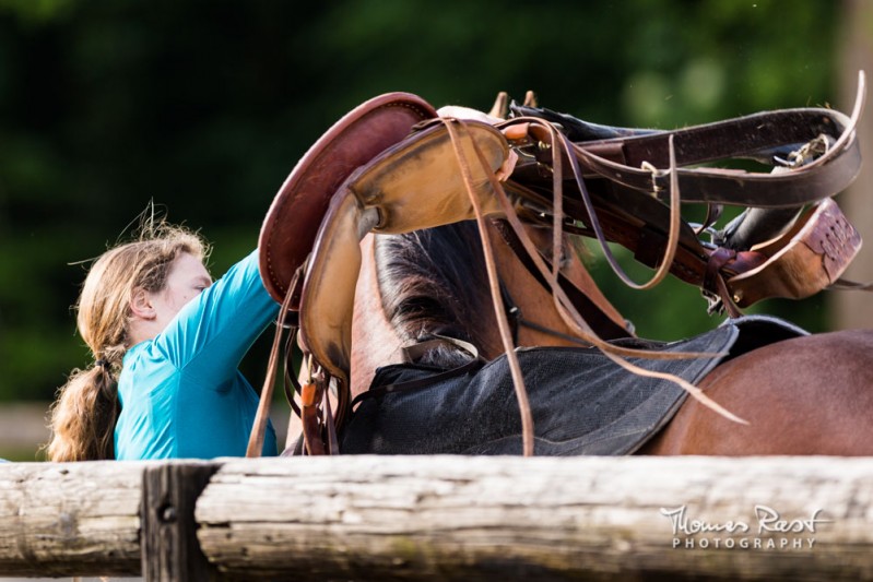 Gabi Neurohr foundation training - a horse expert is saddling a young horse with confidence