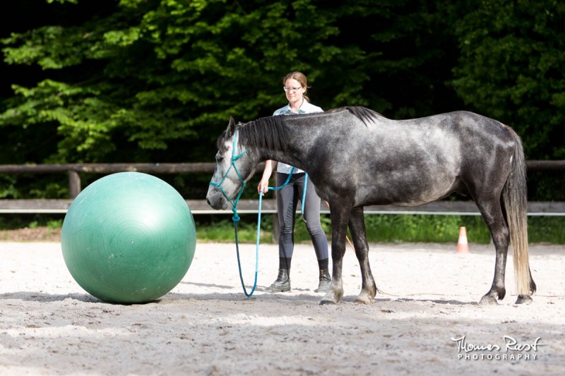 Gabi Neurohr difficult horse friendly game with the ball my horse is afraid of the ball