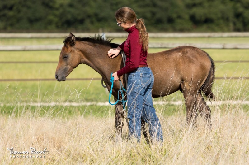 Gabi Neurohr young horse education - a young horse specialist is showing the halter to a foal